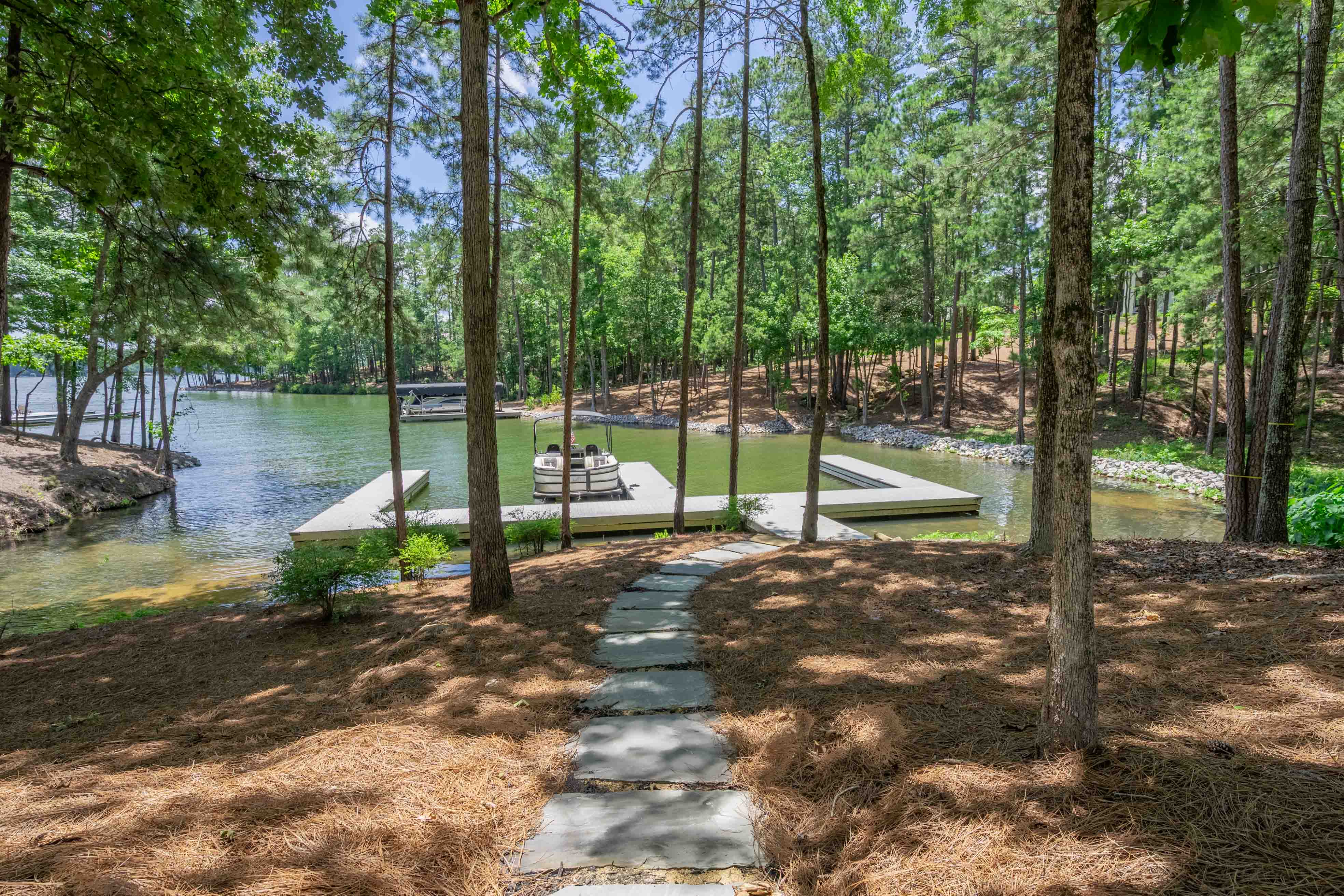 1383 Jumping Rock Drive image 54